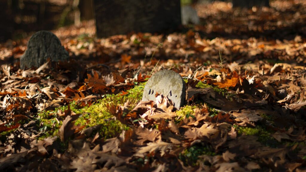 kyle larivee sC19PtqBQAk unsplash